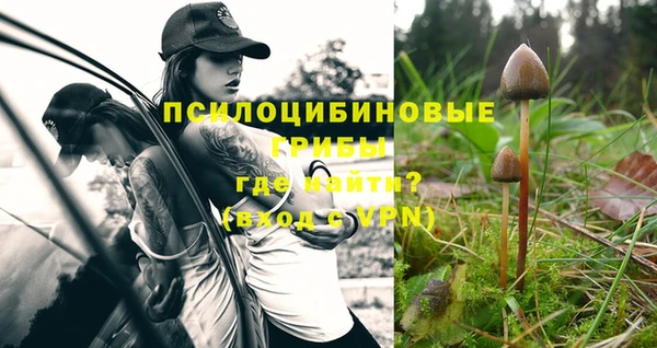 эйфоретик Волосово