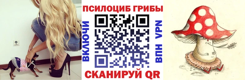 hydra ССЫЛКА  Королёв  Псилоцибиновые грибы GOLDEN TEACHER 